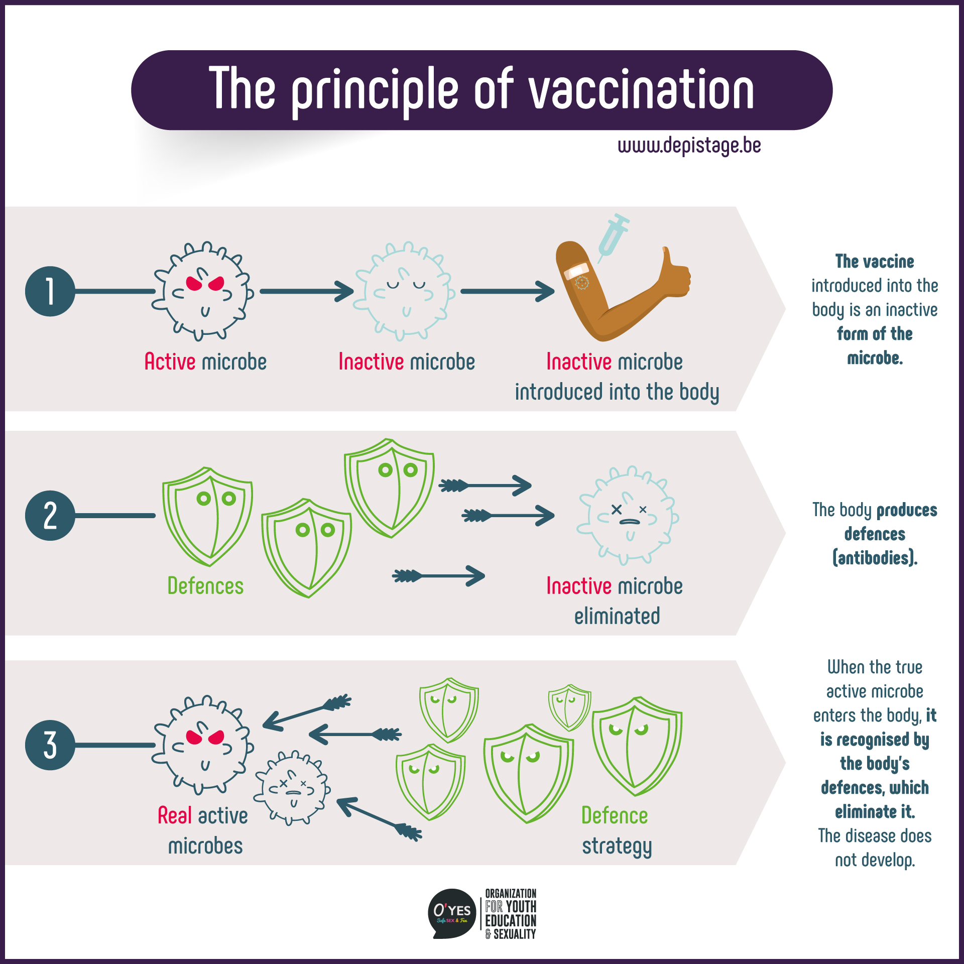 schema_vacc_2